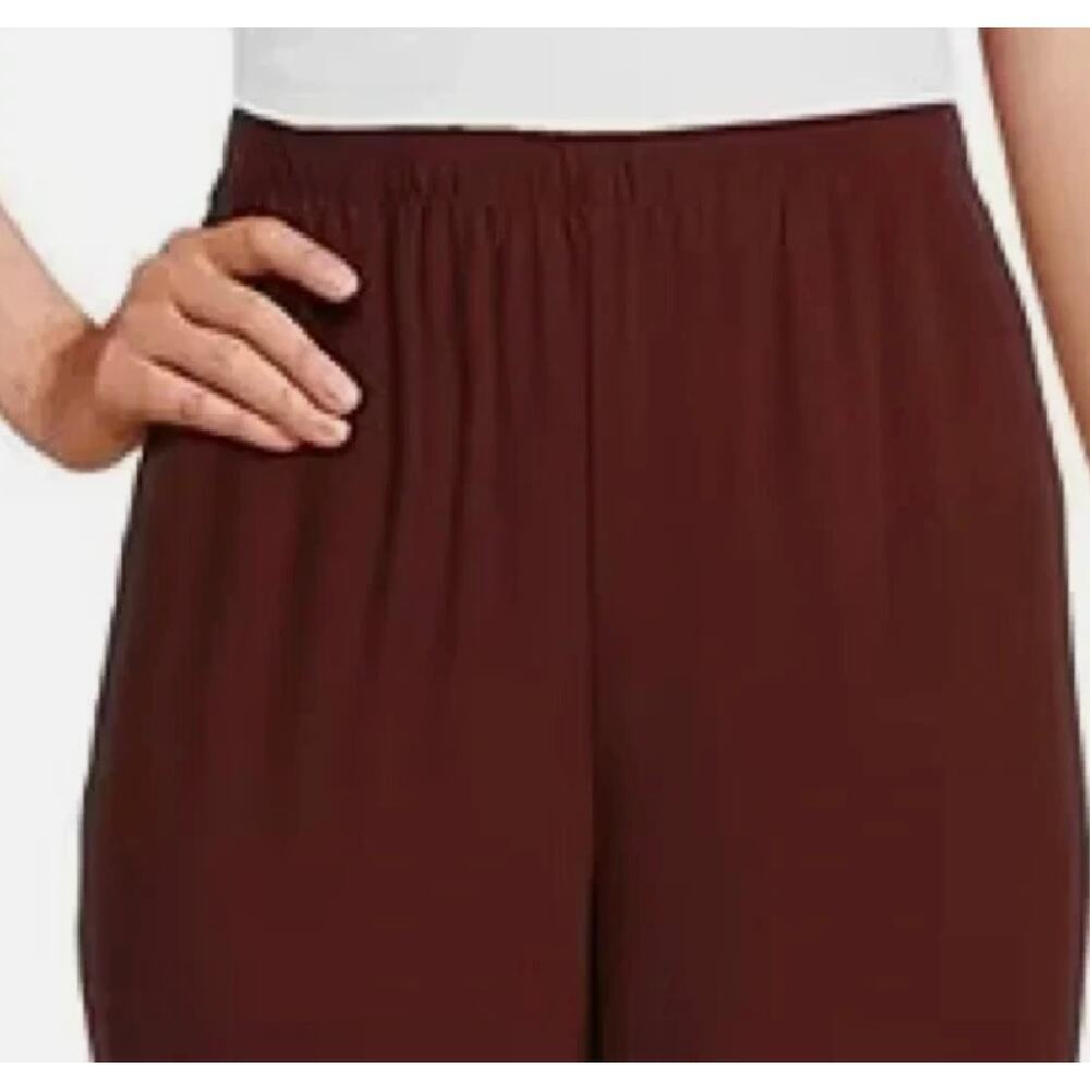 Eileen Fisher Silk Georgette Crepe Straight Pant | Sz L, Redwood NWT $248 - Picture 2 of 9